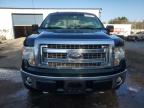 Lot #3024648571 2013 FORD F150 SUPER