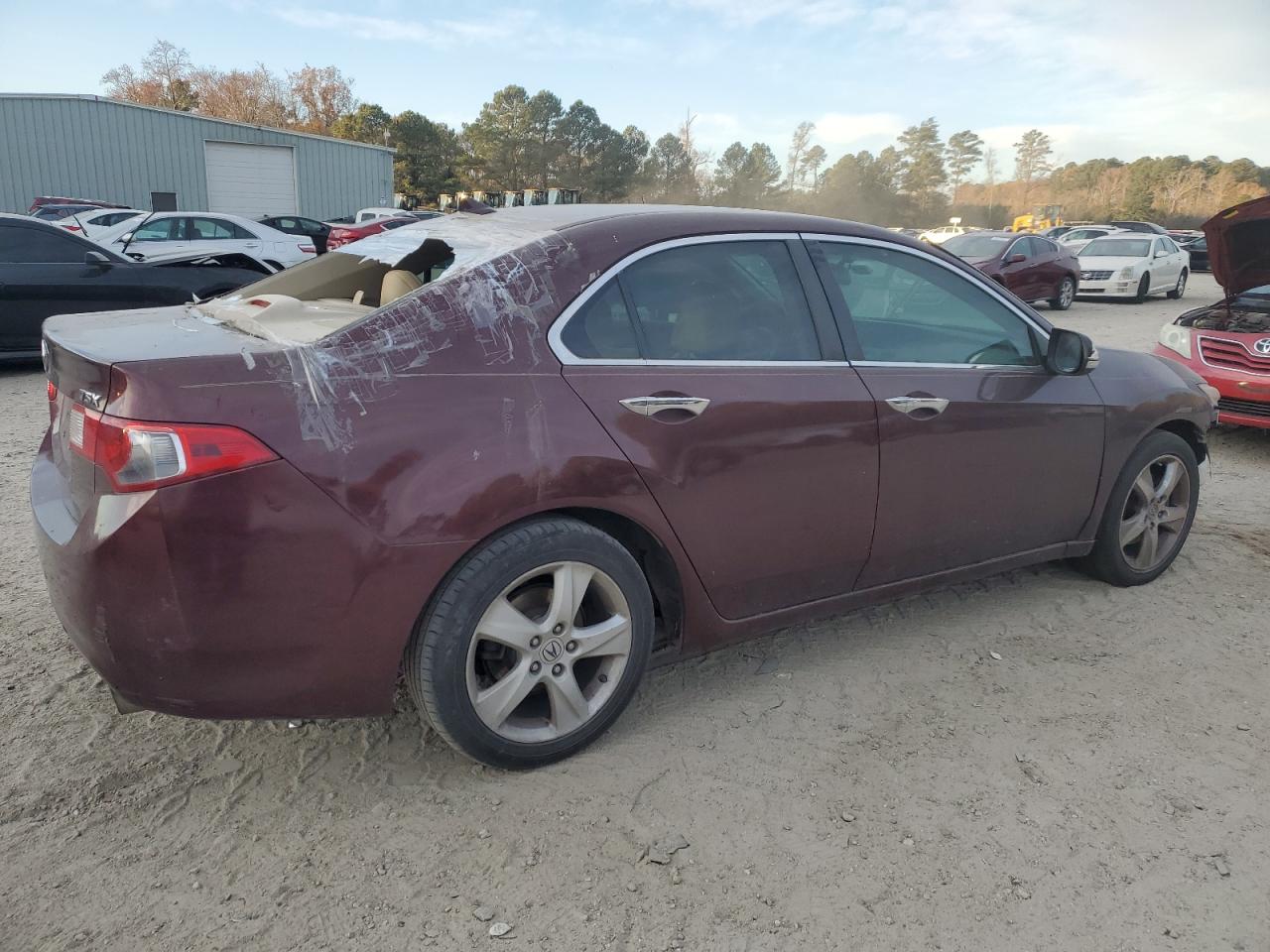 Lot #3024274830 2009 ACURA TSX