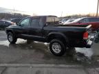 Lot #3027108787 2002 DODGE DAKOTA QUA