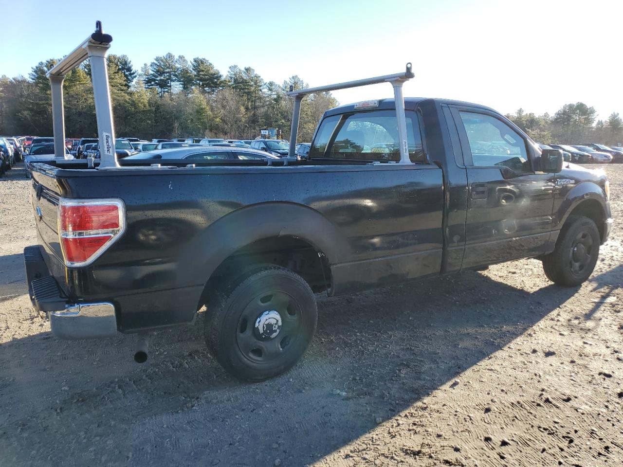 Lot #3029350693 2009 FORD F150