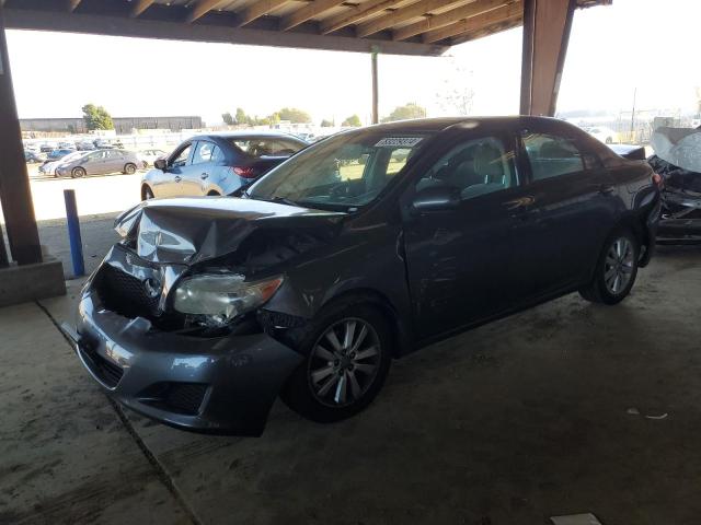 TOYOTA COROLLA BA 2010 gray  gas 2T1BU4EE7AC400833 photo #1