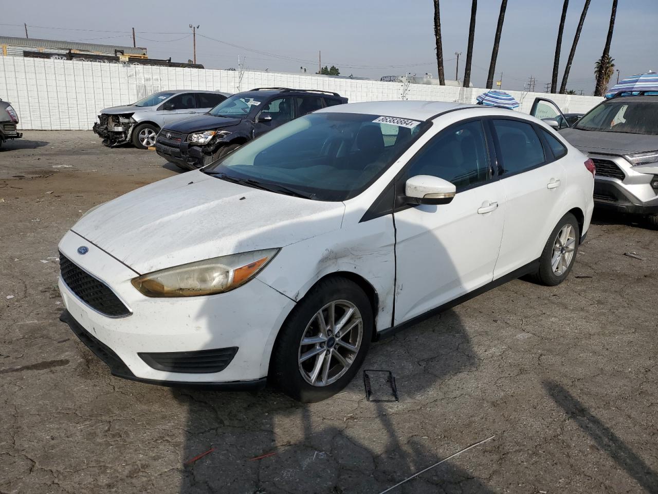 Lot #3034514776 2016 FORD FOCUS SE