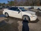 Lot #3041001444 2008 CHRYSLER SEBRING