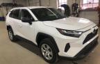 Lot #3024600755 2023 TOYOTA RAV4 LE