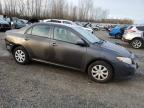 Lot #3031065288 2010 TOYOTA COROLLA BA