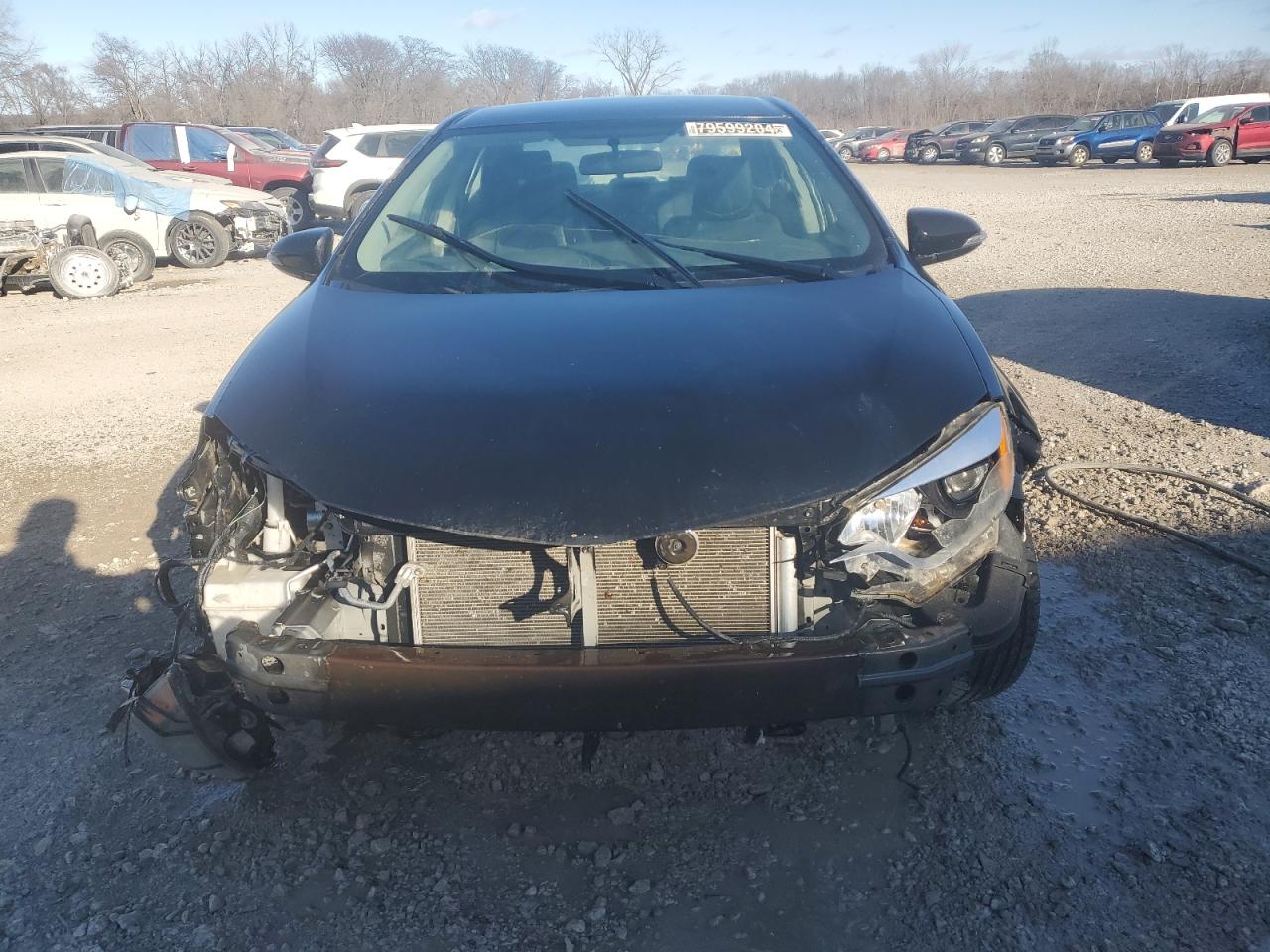 Lot #3036977759 2016 TOYOTA COROLLA L