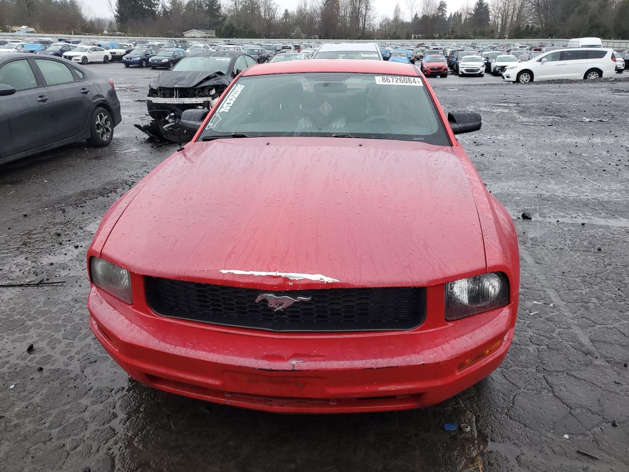 Lot #3044585207 2006 FORD MUSTANG