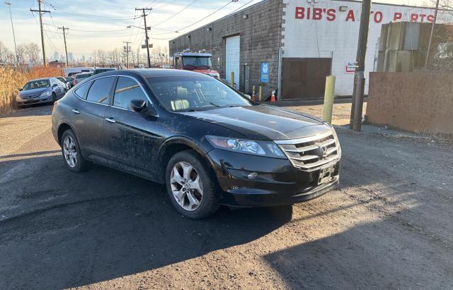 2011 HONDA ACCORD CRO #3028339812