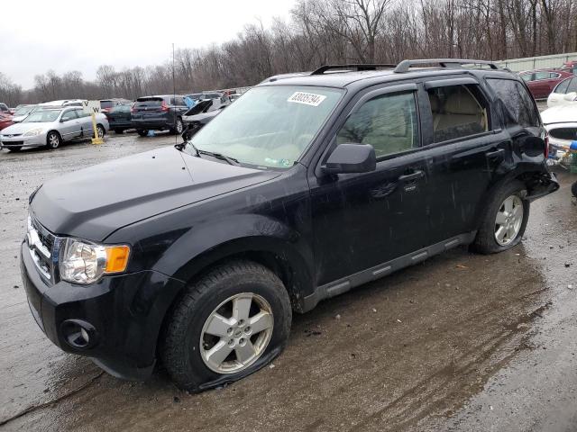 Global Auto Auctions: 2010 FORD ESCAPE XLT