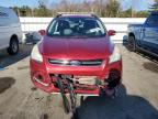 Lot #3028411806 2013 FORD ESCAPE SEL