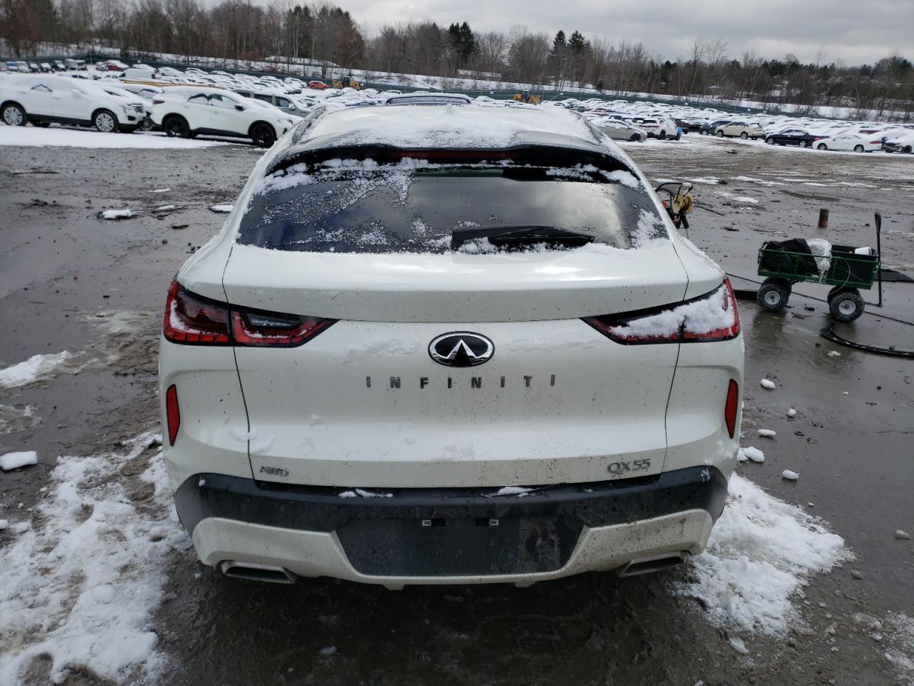 Lot #3028599957 2023 INFINITI QX55 LUXE