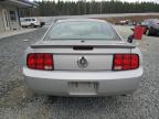 Lot #3027165286 2007 FORD MUSTANG