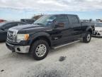 Lot #3024328039 2011 FORD F150 SUPER