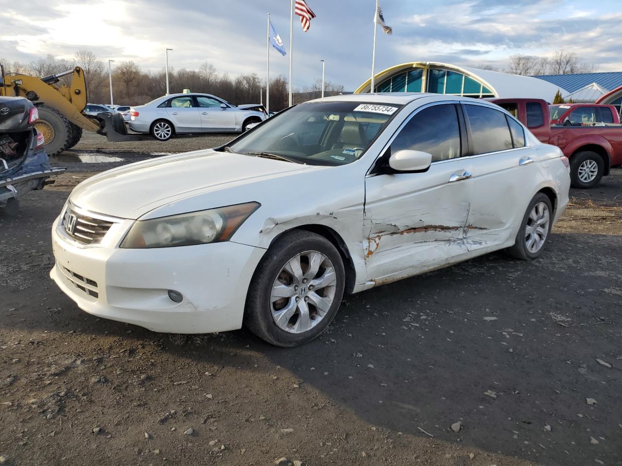 Lot #3052434880 2008 HONDA ACCORD EXL