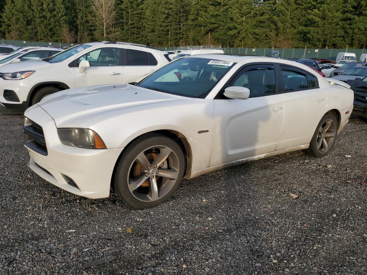 Lot #3044837027 2014 DODGE CHARGER SX