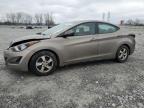 HYUNDAI ELANTRA SE photo