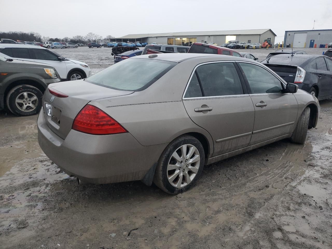 Lot #3029430685 2006 HONDA ACCORD EX