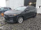 2019 JEEP CHEROKEE L - 1C4PJLCB3KD149685