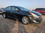 Lot #3024057657 2013 HYUNDAI SONATA HYB