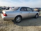 Lot #3024697628 1995 LEXUS ES 300