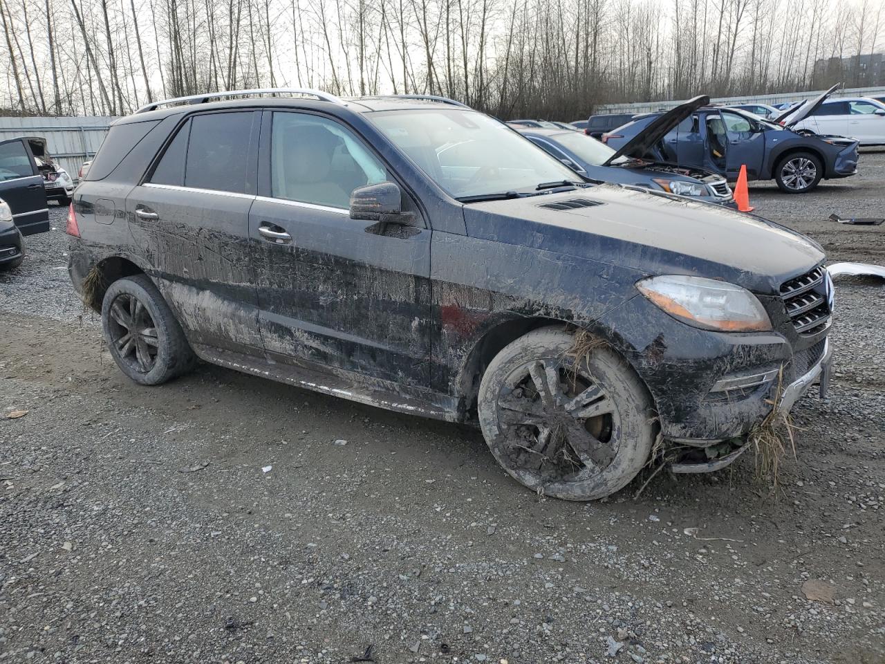 Lot #3034303061 2015 MERCEDES-BENZ ML 250 BLU