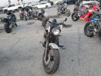 Lot #3044409760 2024 HONDA VT750 C2B