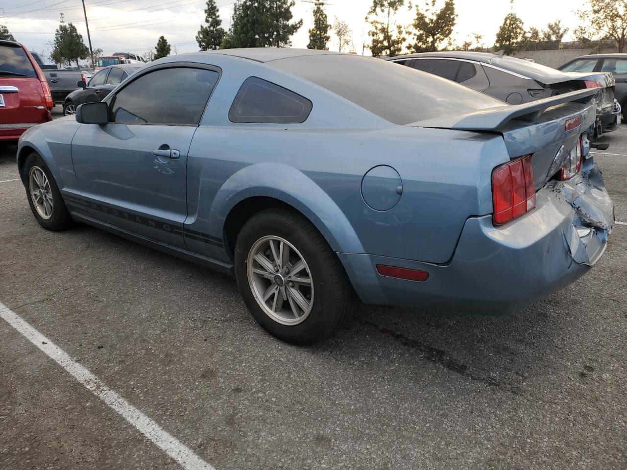 Lot #3033516091 2005 FORD MUSTANG