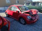 Lot #3025159202 2009 VOLKSWAGEN NEW BEETLE