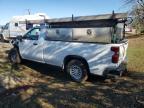 Lot #3024803453 2021 CHEVROLET SILVERADO