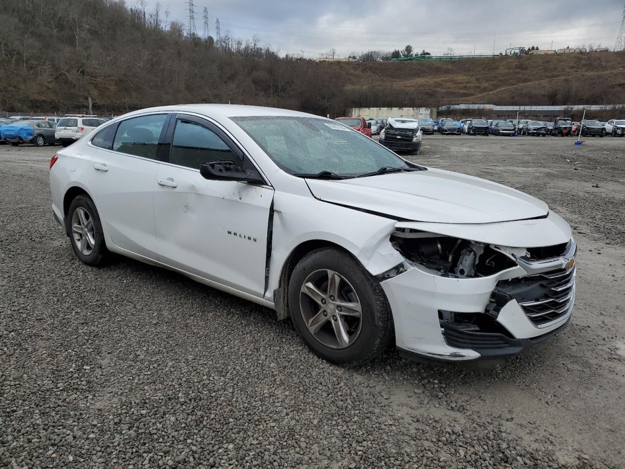 Lot #3040836753 2019 CHEVROLET MALIBU LS