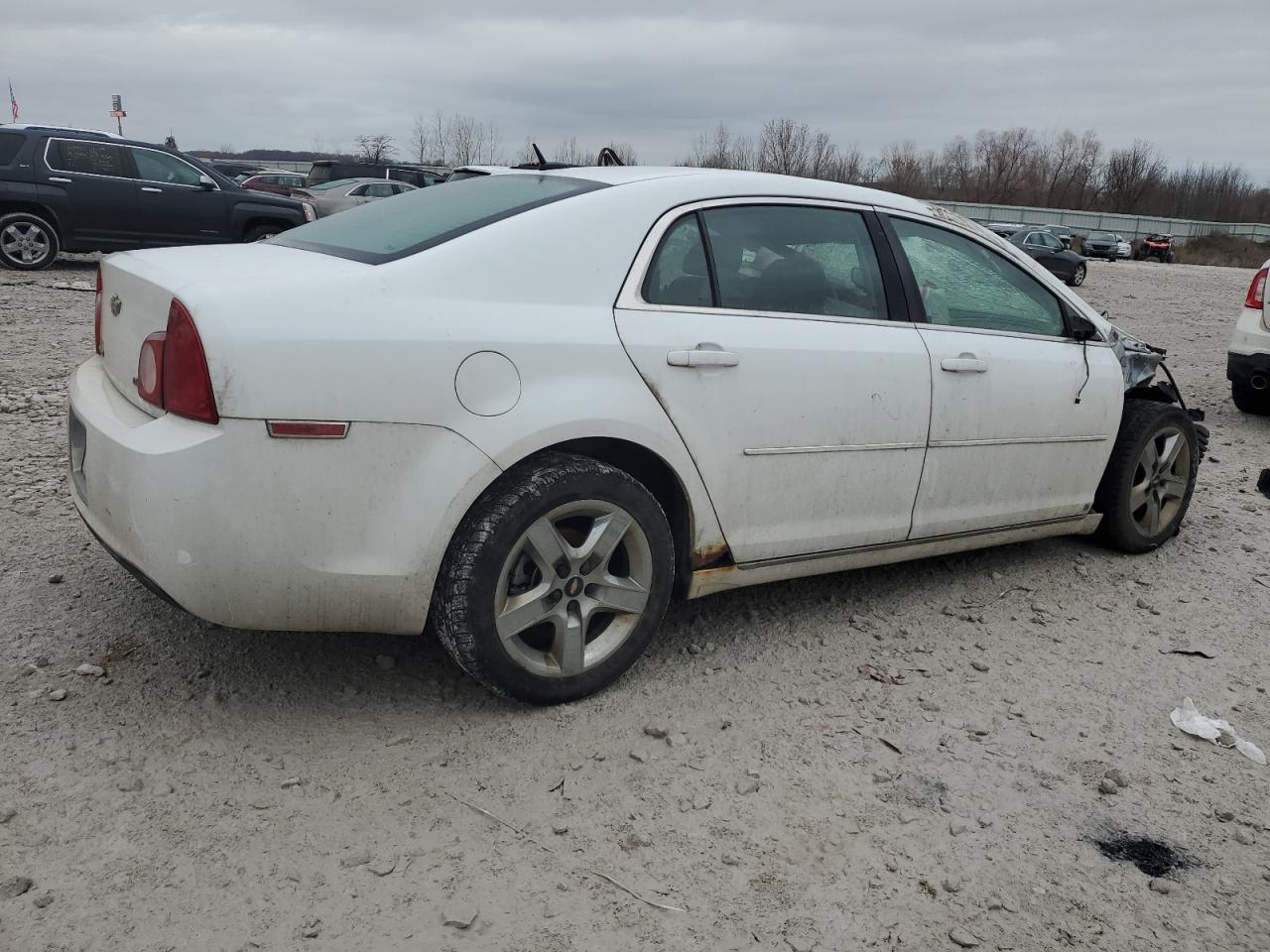 Lot #3034254819 2009 CHEVROLET MALIBU 1LT