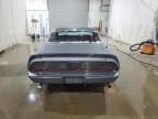 Lot #3024365524 1981 PONTIAC FIREBIRD