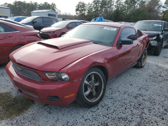 FORD MUSTANG 2010 maroon coupe gas 1ZVBP8ANXA5150857 photo #1