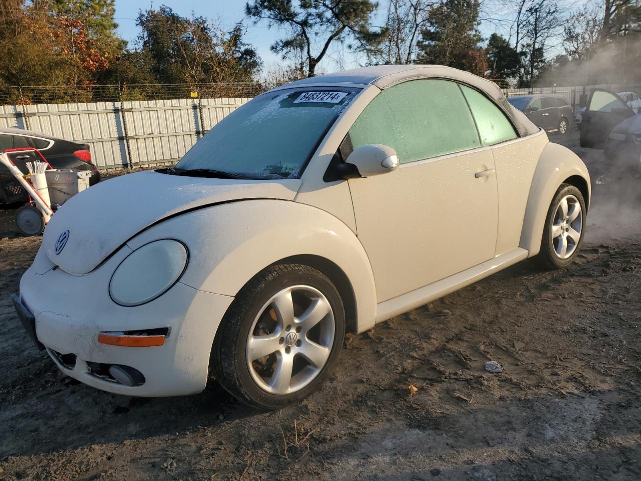 Lot #3029465684 2006 VOLKSWAGEN NEW BEETLE