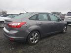 Lot #3033164200 2014 FORD FOCUS SE