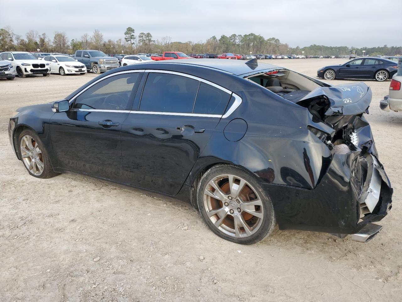 Lot #3036928754 2013 ACURA TL ADVANCE