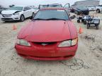 Lot #3024328110 1995 FORD MUSTANG GT