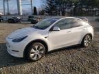 2023 TESLA MODEL Y - 7SAYGAEE7PF749059