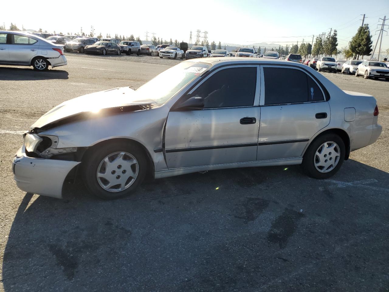 Lot #3026015956 1999 TOYOTA COROLLA VE