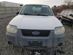 Lot #3024659614 2007 FORD ESCAPE XLS