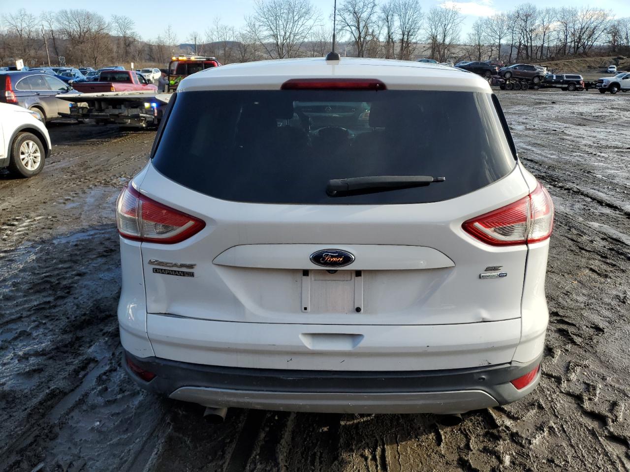 Lot #3044392796 2014 FORD ESCAPE SE