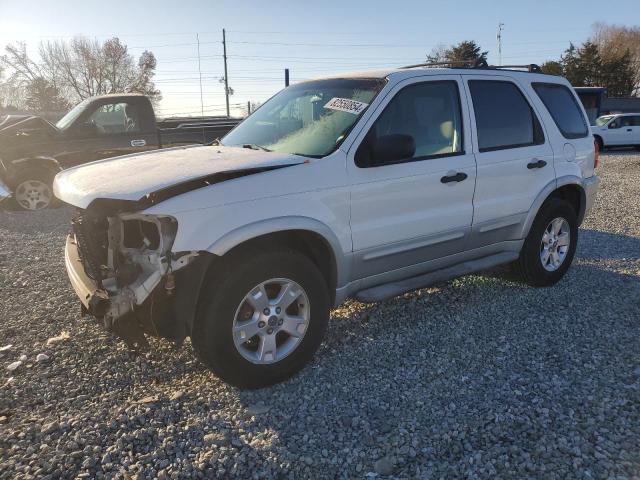 2007 FORD ESCAPE XLT #3024698741