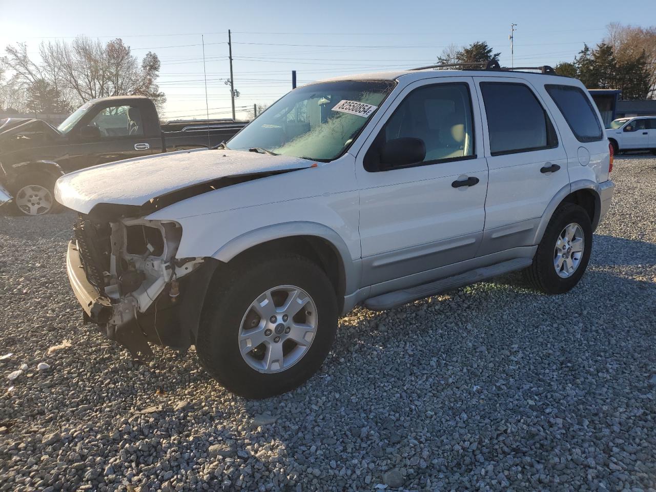 Lot #3024698741 2007 FORD ESCAPE XLT