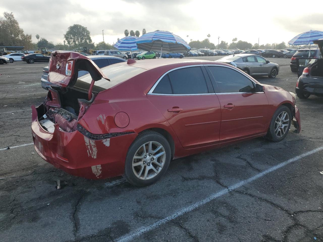 Lot #3038203758 2014 CHEVROLET MALIBU 1LT