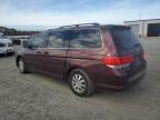 Lot #3027155298 2009 HONDA ODYSSEY EX