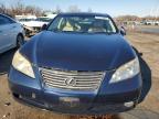 Lot #3024978195 2007 LEXUS ES 350