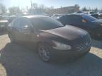 Lot #3024821365 2013 NISSAN MAXIMA S