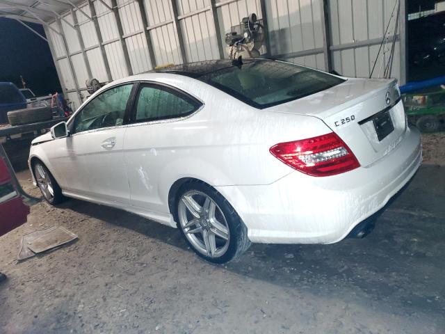 VIN WDDGJ4HB5DG036097 2013 MERCEDES-BENZ C-CLASS no.2