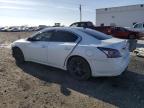 Lot #3024286803 2012 NISSAN MAXIMA S