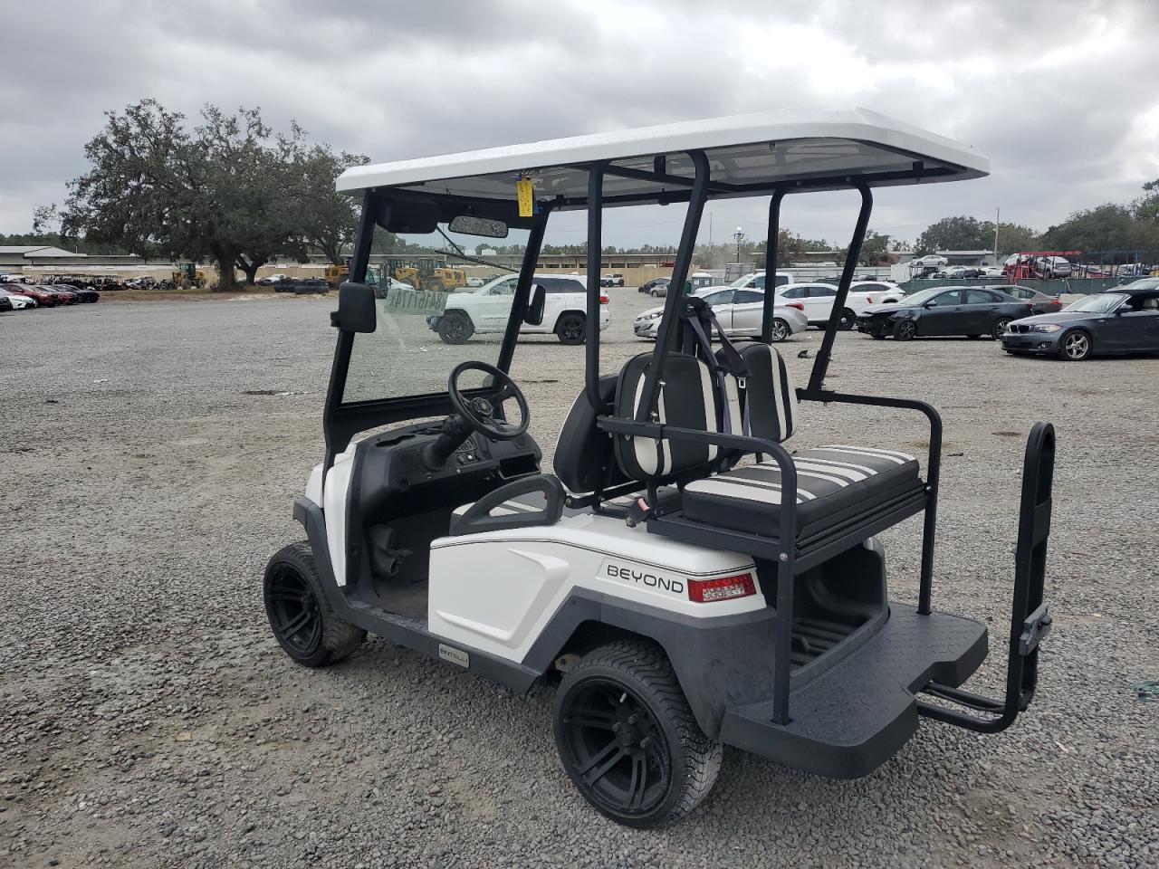 Lot #3033021003 2021 OTHR GOLF CART